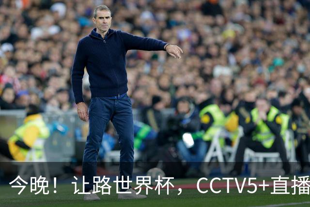 今晚！让路世界杯，CCTV5+直播中国女排VS法国，小将领衔冲击5连胜