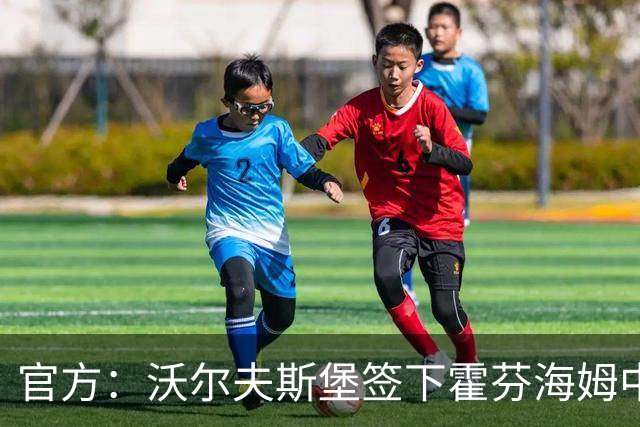 官方：沃尔夫斯堡签下霍芬海姆中场达马尔，双方签约至2031年