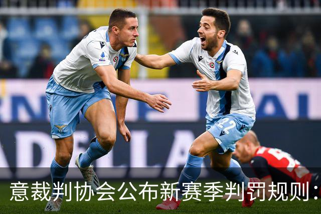 意裁判协会公布新赛季判罚规则：捂嘴不会吃红牌，VAR可介入第2黄
