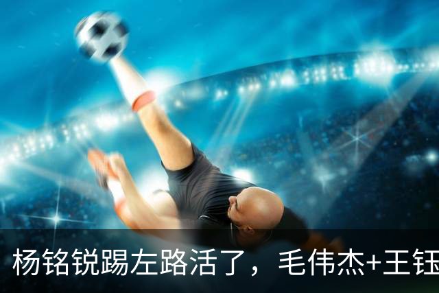 杨铭锐踢左路活了，毛伟杰+王钰栋国足未来双雄，大连3将身背3黄