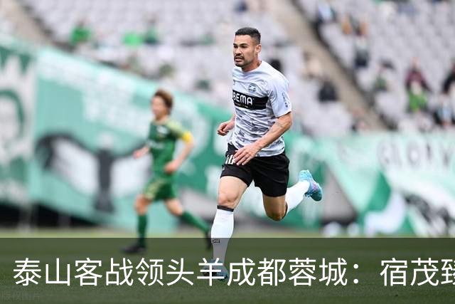 泰山客战领头羊成都蓉城：宿茂臻誓言赢球，高准翼阿尔瓦罗伤缺