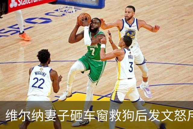 维尔纳妻子砸车窗救狗后发文怒斥主人：30度的天怎能把狗关车上？